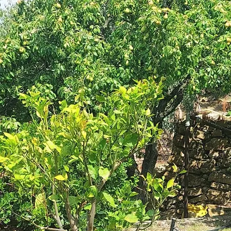 Apartamento Antico Principato Di Seborga *