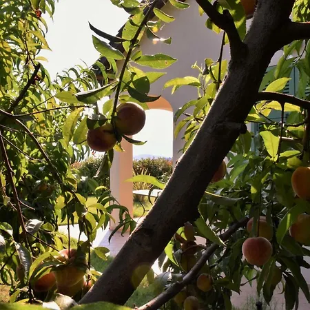 Apartamento Antico Principato Di Seborga *