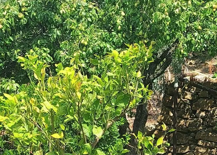 Lägenhet Antico Principato Di Seborga *