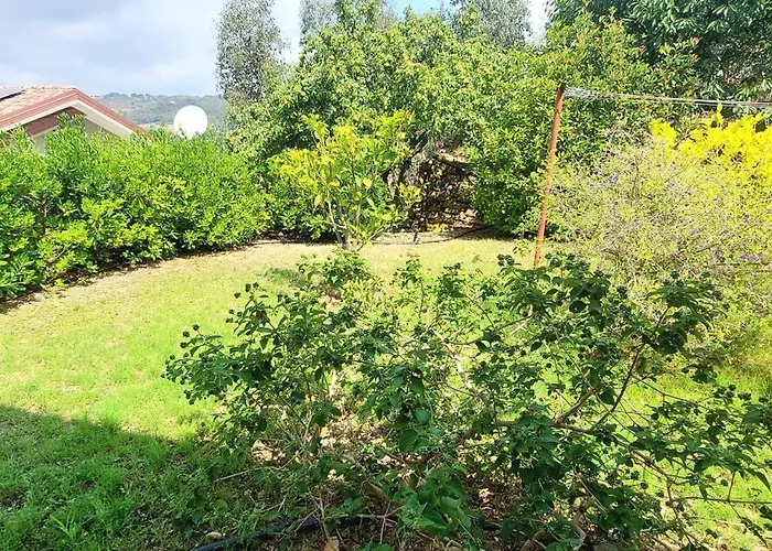 Antico Principato Di Seborga アパート Vallebona